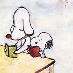 苔藓不太咸-