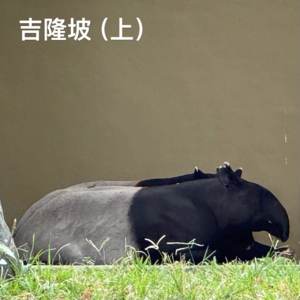 09-马来西亚｜吉隆坡（上）