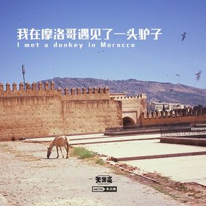 vol.116 我在摩洛哥见过一头驴子