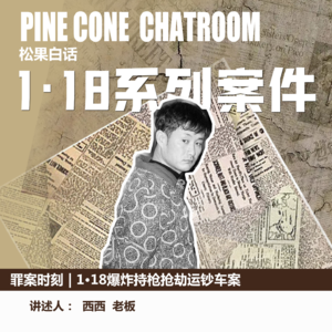 40.罪案时刻|命拿来！钱！拿来！：沈阳1·18爆炸持枪抢劫运钞车案