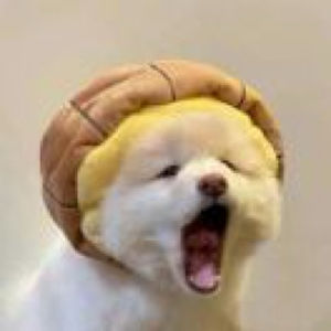 薛兆丰经济学讲义