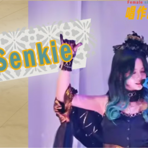 Senkie: 织梦姬的编曲时空
