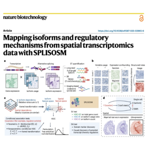 751-SPLISOSM:空间转录组异构体图谱与调控机制分析