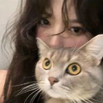小D-