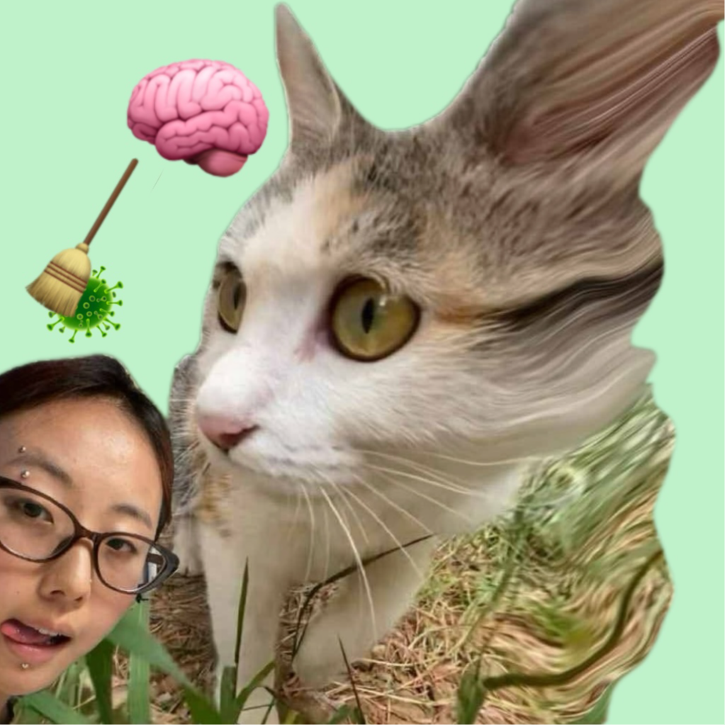 020-Brain Housekeeping: The Experiment and the Afterthought episode artwork