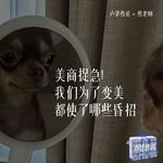 E23｜美商捉急！我们为了变美都使了哪些“昏招”！？