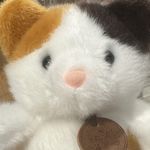 Andimomo