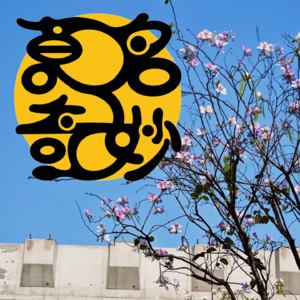 20. 感受是表达的温床，人类的token记得留给自己