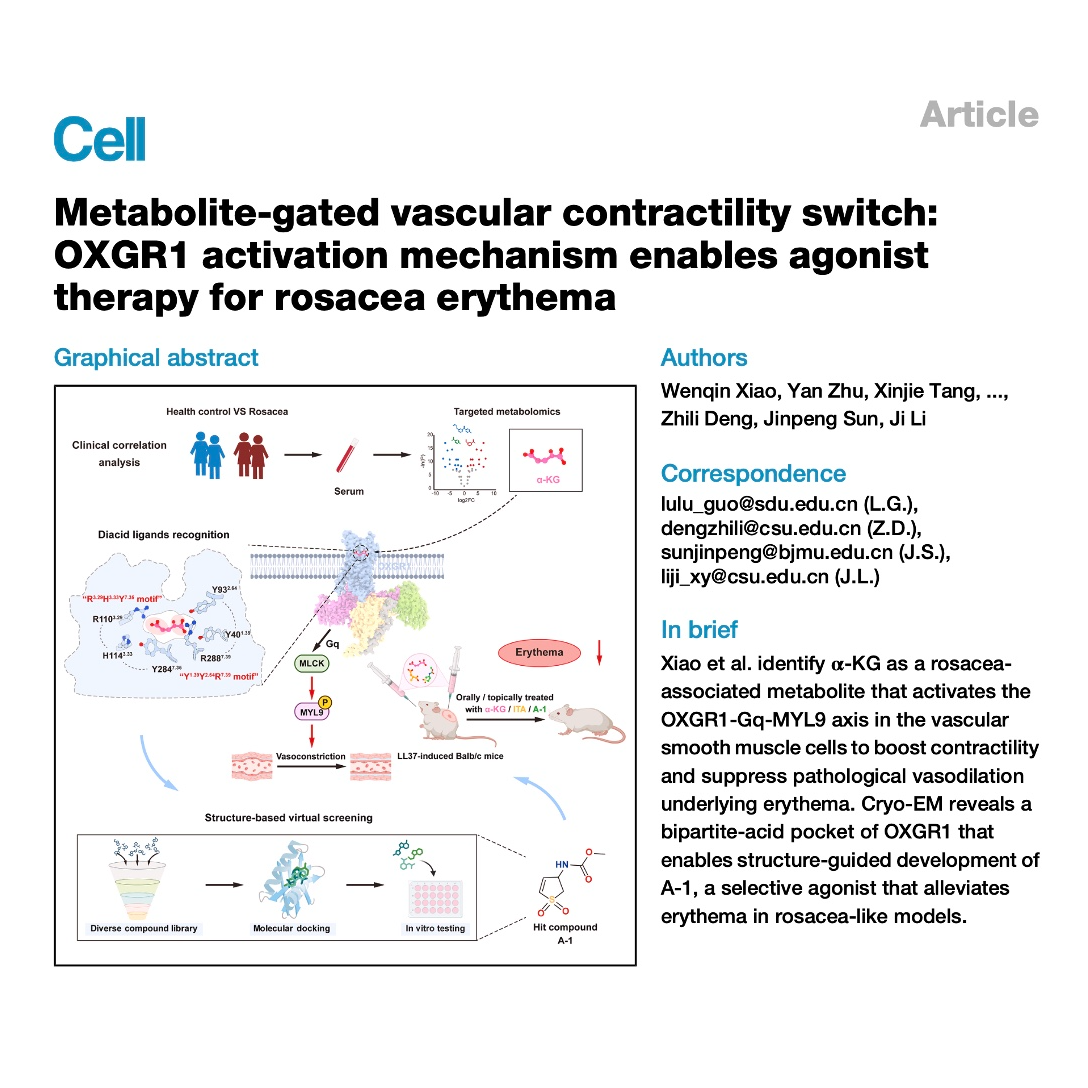 719-OXGR1: A Therapeutic Switch for Rosacea Erythema episode artwork