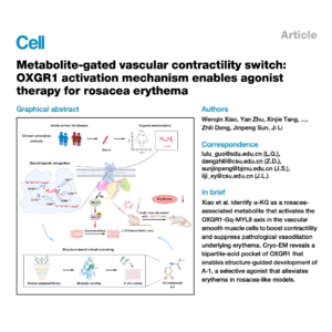 719-OXGR1: A Therapeutic Switch for Rosacea Erythema