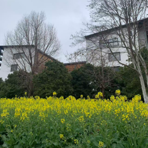 一些新奇体验,被季节的变换推着向前