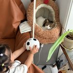 龙虾妹妹