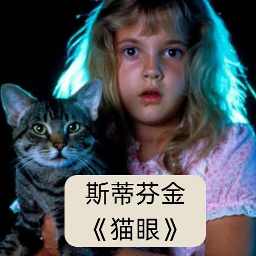《猫眼看人》：斯蒂芬·金的哈吉米历险记 episode artwork