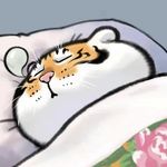 苏雅_Soya