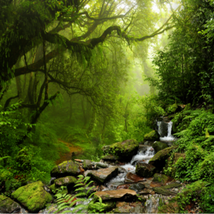 陈宇廷的有声书《念完哈佛念阿弥陀佛》Vol 47 还俗以后，我发现在出家那段时间我形成了执着