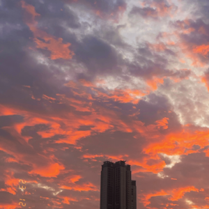 No.004-无用之美：闲下来怎么了？