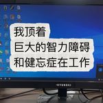 猪鼓励豆和炸毛的猫