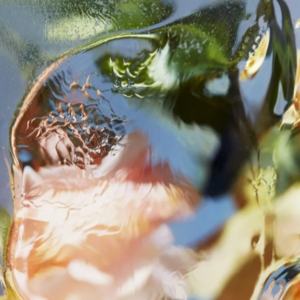 清冷香水｜气质满分