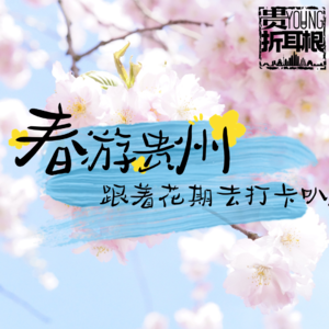 春游贵州——跟着花期去打卡叭!