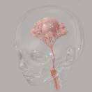 取不来名字_2EWQ