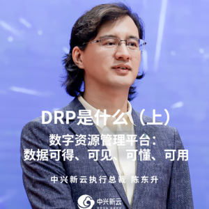 陈东升：DRP是什么？（上）