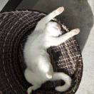 夜行_skMo