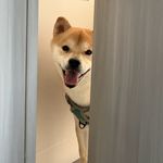 这孩子以后大有出息