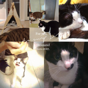 EP10 年度好东西验证区域