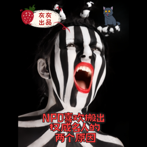 NPD喜欢搬出权威名人的两个原因