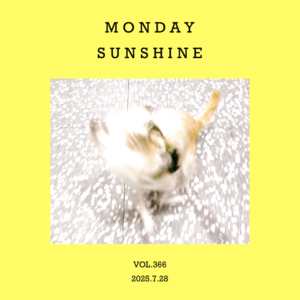 vol.366：就发点光呗，哪怕是周一！