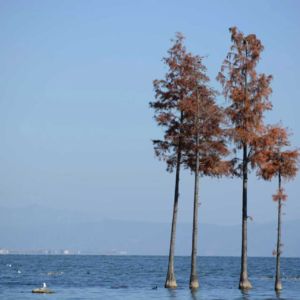 女性的成长，从不止一种答案：对话艺哲