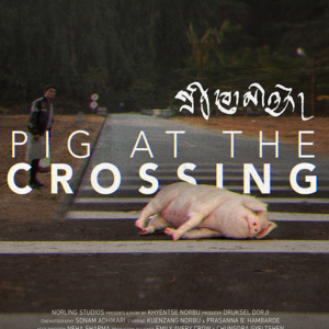 电影“十字路口的猪”——欽哲諾布