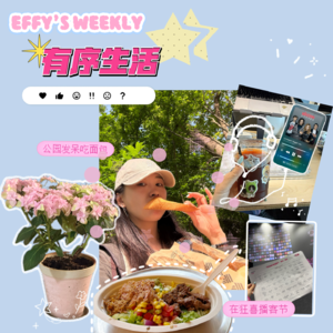 17.职场松弛心法：进可搞钱成长，退可奔赴生活热爱