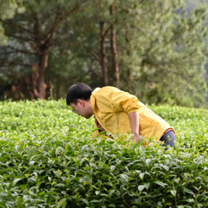 011：他从互联网大厂领导转型为茶馆老板，大部分时间都很开心