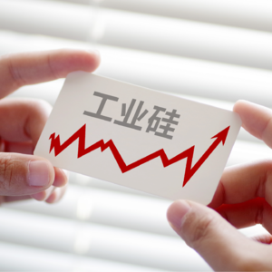EP.32 每天了解一个行业:工业硅