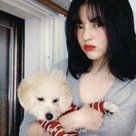 猪猪在摆烂会儿