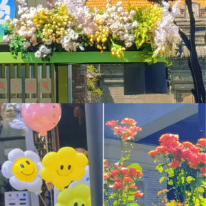 05.将有限的时间投入到无限的快乐中去！