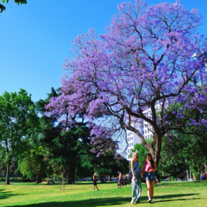 30. 谈2025年的得失。理解自己，接受现实，并认真地对2026许愿. Ft.Jam