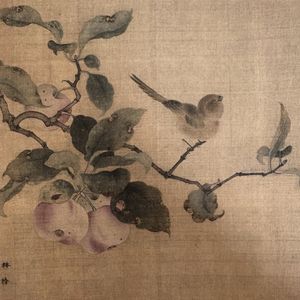 podcaster-avatar