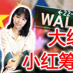 【创业公司法律说（17）】风行20年的红筹架构