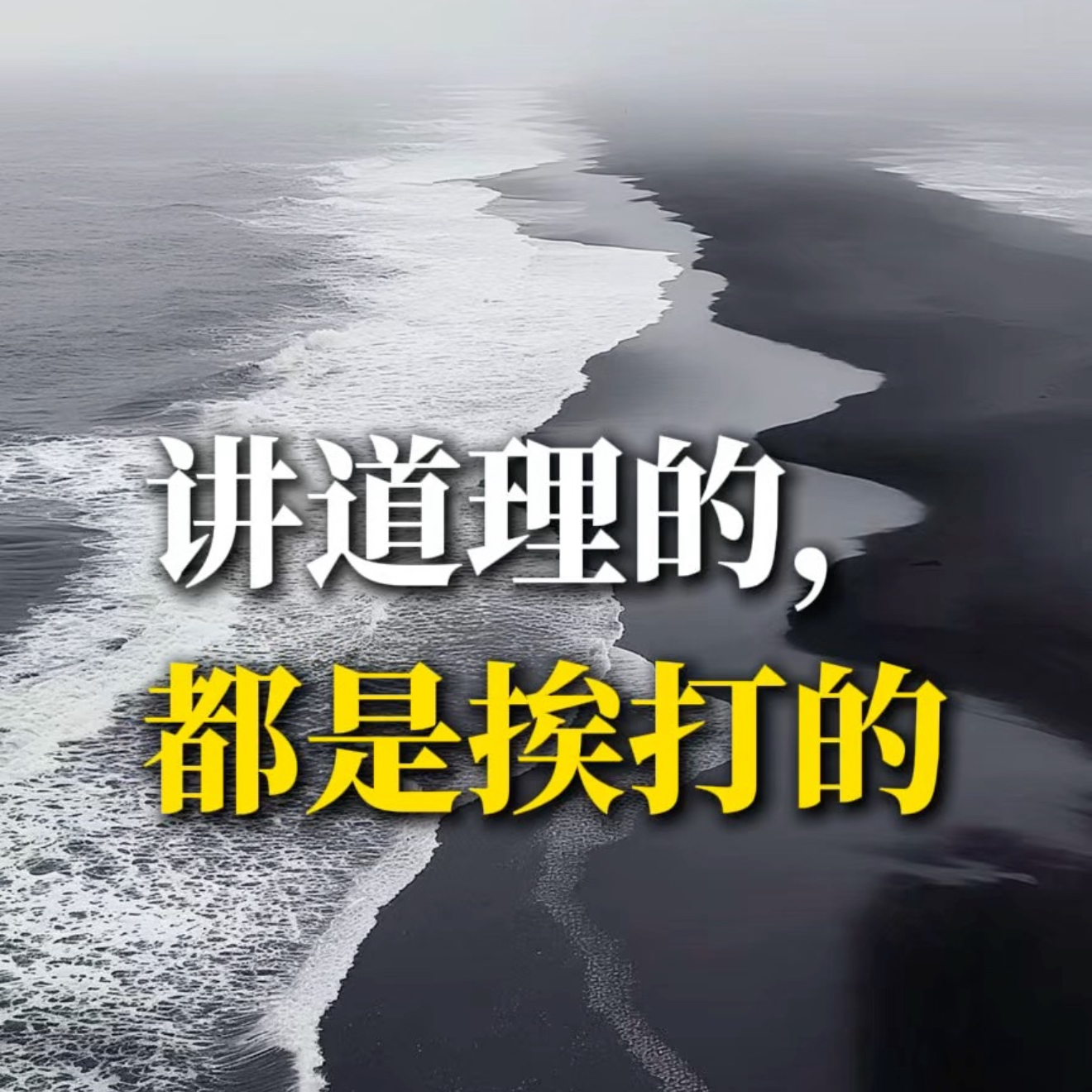 讲道理的，都是挨打的 episode artwork