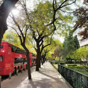 75、再聊基金组合，理财到底配置多少股、债、金？