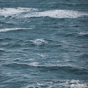 🩵💙The Warmest Color