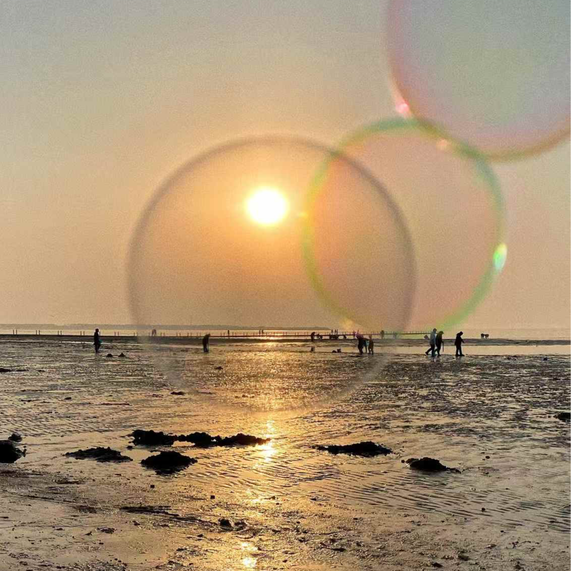 cover of episode 夏日序曲