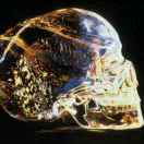 没啥加油油真君