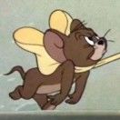 阿拉比卡香香猪