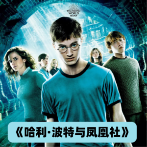 013.命途多舛or天选之人？哈利波特的福气给你，你要不要？