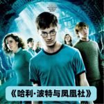 013.命途多舛or天选之人？哈利波特的福气给你，你要不要？