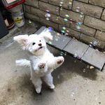 房间看看