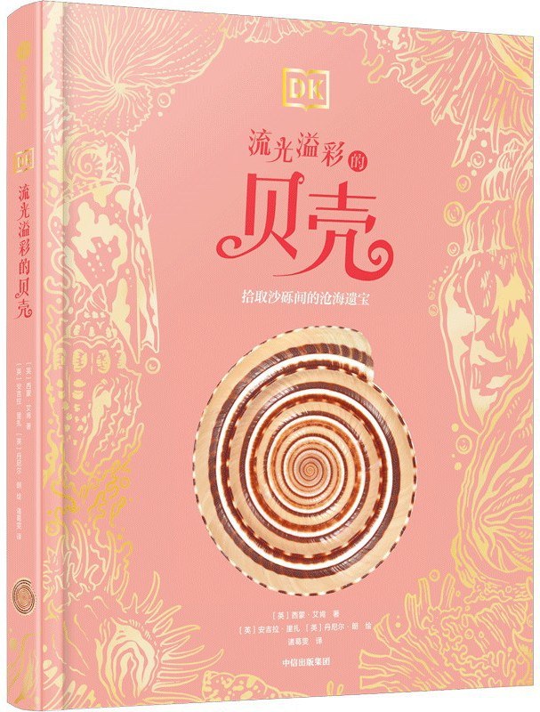 DK流光溢彩的贝壳